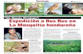 Expedición a Rus Rus en La Mosquitia hondureña se encuentra esa especie en esta re-gión de Honduras y dentro del mismo há-bitat por el Peten en Guatemala y Yucatán en México.