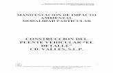 CONSTRUCCION DEL PUENTE VEHICULAR “EL DETALLE” …sinat.semarnat.gob.mx/dgiraDocs/documentos/slp/estudios/2006/24SL... · particular, el tipo de proyecto que se analiza en el