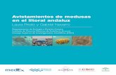 Avistamientos de medusas en el litoral andaluzdigital.csic.es/bitstream/10261/107817/1/avistamientos_medusas... · Avistamientos de medusas en el ... que normalmente utilizan el agua