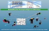 Rehabilitación Neuropsicológica en Adiccionesvlg2015.serglo.es/uploadedFiles/vlg2015.7c9t3/fileManager/T1.1 .pdf · una de las situaciones y en gran ... Un proyecto Galaico-Andaluz