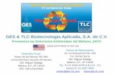 GES & TLC Biotecnología Aplicada, S.A. de C.V.ges-tlc.com/descargas/casosdeexito/Drain_Free_Trampa_de_Grasa... · Trampa de Grasa, y en la segunda y la tercera 1 L respectivamente.