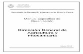 Dirección General de Agricultura y Fitosanitaria · contribuyendo a la creación, y fortalecimiento de organizaciones productivas, así como la comercialización de productos derivados