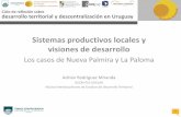 H0a Sistemas productivos locales y visiones de desarrollodesarrolloterritorial.ei.udelar.edu.uy/wp-content/uploads/2013/06/... · diferentes organizaciones productivas concretas: