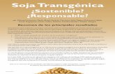 Soja Transgénica transgénica: ¿sostenible? ¿responsable? Un resumen de los resultados principales 2 La rápida expansión de la soja RR GM ha provocado grandes incrementos en el