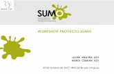 WORKSHOP PROYECTO SUMO - sumo-project.eu · Latinoamericanos y Caribeños (CELAC). El objetivo es fortalecer la colaboración entre las dos regiones en Ciencia, Tecnología e Innovación