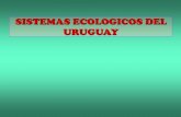 SISTEMAS ECOLOGICOS DEL URUGUAY - liceo6.weebly.comliceo6.weebly.com/uploads/7/1/5/4/7154339/sistemas_ecologicos_del... · Características de la vegetación : ... Algunos ejemplos