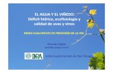 EL AGUAY EL VIÑEDO: Déficit hídrico, ecofisiologíay ...winetech-sudoe.eu/files/Presentacion_HernanOjeda_I.pdf · Vid y riego: Métodos para la caracterización y para la gestión