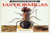 elcachimbo.files.wordpress.com · EL FASCINANTE MUNDO DE... HORMIGAS EN TODO EL MUNDO xiste una gran variedad de hormigas, más de 12.000 especies, muy diferentes entre sí, tanto