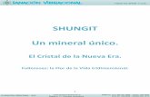 SHUNGIT Un mineral único. - Sanación Vibracional - Todo es …sanacionvibracional.co/index_htm_files/Shungit-Descripc... · 2018-03-01 · ... a nivel espiritual, encuentra su propio