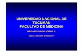 UNIVERSIDAD NACIONAL DE TUCUMÁN FACULTAD DE …ecaths1.s3.amazonaws.com/microemergentes/1134393298.HCV2014.pdf · DIAGNOSTICO TEMPRANO DE INFECCION DIFERENCIAR INFECCION PASADA DE