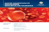 Máster Universitario en Patología Molecular Humana Leaflet 1 · Patología Molecular Humana, basado en la importancia actual que ... profesionales del ámbito de las Ciencias de