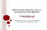 DIRECCIÓN JUDICIAL DE LA AUDIENCIA PRELIMINAR · fue el formato oral de la Audiencia Preliminar; en efecto, la inmediación de los sujetos procesales y el medio oral optimizó el