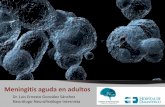 Meningitis aguda en adultos - Médicos de El Salvador · Meningitis aguda en adultos, vista global edad: >1m, Dur: