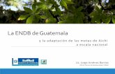 La ENDB de Guatemala - cbd.int · vulnerabilidad socio-ambiental, asegurando los medios de vida locales, proveyendo mejor atención a la seguridad alimentaria, la salud y otros beneficios