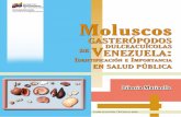 El Instituto Nacional de Investigaciones Agrícolas es un ... de Venezuela.pdf · Moluscos gasterópodos dulceacuícolas de Venezuela: Identificación e Importancia en salud pública.