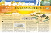 La hoja de eucalipto contiene sustancias químicas que ...ed.el-mexicano.com.mx/impreso/Ensenada/101013/10-10-2013_ENS_04E.pdf · sustancias químicas que podrían ayudar a controlar