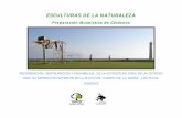 Proyecto de instalación de escultura – esqueleto de cetáceo de …20de%20instalaci... · Cabildo de Fuerteventura y el Gobierno de Canarias la idea de crear un parque temático