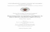 Determinación taxonómica inteligente de Flora Ibérica ...eprints.ucm.es/9878/1/Memoria_Diana_Diaz_Agrela.pdf · forma automática y se modifican las reglas de inferencia de cada