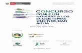BASES DEL CONCURSO - minam.gob.pe · Declaración de los ganadores del concurso 21 de diciembre de 2017 ... Ponle un nombre a los ecosistemas que nos dan agua - Bases del concurso