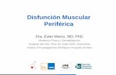 Disfunción Muscular Periférica - sorecar.orgsorecar.org/index_htm_files/Disfuncion de la musculatura periferica... · Bernard S, 1998; Hopkinson NS, 2007 - Miembros inferiores ...