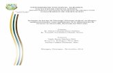 UNIVERSIDAD NACIONAL AGRARIA FACULTAD DE CIENCIA …repositorio.una.edu.ni/3154/1/tnl02m827.pdf · Inclusión de harina de Marango (Moringa oleifera) ... 2.1 Objetivos específicos