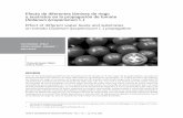Efecto de diferentes láminas de riego y sustratos en la propagación de ...soccolhort.com/revista/pdf/magazin/Vol2/vol.2 no.1/Vol.2.No.1.Art.5... · El tomate (Solanum lycopersicum
