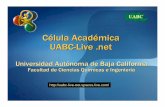 Universidad Autónoma de Baja Californiailluminatus.bizhat.com/uabc-live.net/sesion8.pdf · zEs un control que permite el uso de máscaras personalizadas para facilitar la entrada