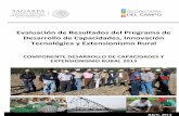 Evaluación de Resultados del Programa de … Comité Sistema Producto CTEE Comité Técnico Estatal de Evaluación DCyER Componente Desarrollo de Capacidades y Extensionismo Rural