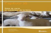 capítulo 10-ovino carne Maqueta Libro Ganadería - intiasa.es · El ganado ovino en la actualidad sigue siendo una especie fundamental en el conjunto de la ga-nadería mundial, para