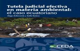 Tutela judicial efectiva en materia ambiental: el caso ... · El derecho a la tutela judicial efectiva en materia ambiental 1. ... sobre tutela judicial efectiva ... en uno de los