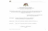UNIVERSIDAD DE CUENCA INSATISFACCIÓN CON LA …dspace.ucuenca.edu.ec/bitstream/123456789/21034/1/TESIS.pdf · colegios privados mixtos de la Ciudad de Cuenca, en vista de que no