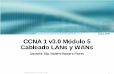 CCNA 1 v3.0 Módulo 5 Cableado LANs y WANsinkanegocios.com/viajes/wp-content/uploads/2013/08/CCNA1v3_Mod05... · Suscriptor (DSL), y de cable módem. • Identificar los puertos seriales,