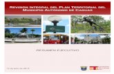 RESUMEN EJECUTIVO - caguas.gov.pr · JP-2013- 308 para adoptar la nueva estructura territorial a base de áreas funcionales. Revisión Integral Plan Territorial del Municipio Autónomo