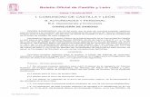 Boletín Oficial de Castilla y Leónfesitesscastillayleon.com/Datos/Castilla_y_leon_convocatoria_TSID... · Oposiciones y Concursos. CONSEJERÍA DE SANIDAD. ORDEN SAN/920/2010, de