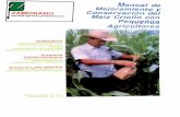 Manual de Mejoramiento y ZAMORANO Conservación del Maíz ... · entre la planta de maíz y el comportamiento alimentario de los habitantes de esta región. ... produjeron más alimentos