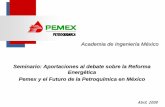 Academia de Ingeniería México - ai.org.mx y el... · 5 1. Etapas de desarrollo de la industria petroquímica mexicana Consolidación 1986 - 1992 Reestructuración 1993 - 1996 Nueva
