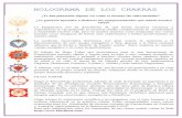 HOLOGRAMA DE LOS CHAKRAS - todokine.comtodokine.com/wp-content/uploads/2017/09/holograma-chackras-2016.pdf · ¿Te gustaría aprender a deshacer los ... Órganos, Hormonas, Enzimas,