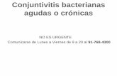 Conjuntivitis bacterianas agudas o crónicas - oculab.com · porque dado que existe flora habitual, el desarrollo de esta puede enmascarar a gérmenes patógenos de crecimiento lento.