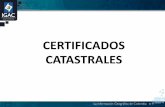 CERTIFICADOS CATASTRALES - supernotariado.gov.co · propiedad nÚmero de validaciÓn . certificado catastral especial ... ficha predial catastral. el trÁmite es de 5 dÍas y tiene