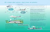 El viaje del atún: del mar al platoarchivo-es.greenpeace.org/espana/Global/espana/report/oceanos/... · dispositivos de agregación de peces (FAD), que son objetos ˚otantes en torno