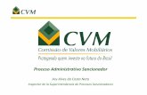 Proceso Sancionador Brasil - iimv.org · El proceso administrativo sancionador está siempre precedido de una etapa de investigación, cuya finalidad es determinar la materialidad
