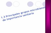 1.3 GRUPOS DE MICROORGANISMOS DEs58669cd9b381f673.jimcontent.com/download/version/1283717781/module... · 1.3 GRUPOS DE MICROORGANISMOS DE INTÉRES SANITARIO PSICRÓFILOS Capaces