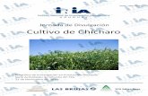 Jornada de Divulgación Cultivo de Chícharo - ainfo.inia.uy · A mediados de abril se realizaron los 5 canteros (de 50 m x 1m), con arados de disco (ver foto 1 y 3), de Inmediato