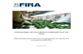 PROGRAMA DE EFICIENCIA ENERGÉTICA DE FIRA - gob.mx · Programa de Financiamiento para Eficiencia Energética - FIRA Página 2 de 59 Contenido Contenido 2 1. Introducción 4 1.1.