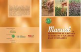 Manual - Horticulture International · Selección del lugar 10 2.4. Áreas y tamaño del vivero 11 ... producción de plantines, de tal forma que este manual pueda ser utilizado por