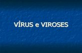 VÍRUS e VIROSES - curcepenem.files.wordpress.com · n Agente etiológico (patógeno) è organismo capaz de causar infecção Virulência: capacidade de infectar um organismo. ...