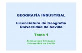 GEOGRAFÍA INDUSTRIAL Licenciatura de Geografía …titulaciongeografia-sevilla.es/contenidos/profesores/materiales/... · 1.4.-Factores que inciden en la localización de las industrias