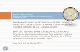 PANORAMA DEL DERECHO INTERNACIONAL DE LOS TRATADOS … · La Colección de Tratados es una de las dos publicaciones obligatorias ... por Jefes de Estado y de Gobierno.; El Secretario