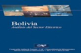 Introducción - publicaciones.caf.compublicaciones.caf.com/media/1170/20.pdf · Gonzalo Flores y a Emma Zegarra, ambos de la Representación de la CAF en Bolivia, por su valiosa colaboración