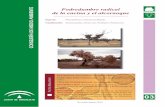 Podredumbre radical - Junta de Andalucía · la capacidad del árbol de tomar del suelo agua y nutrientes, ocasionando síntomas parecidos a los ... gos: la mayor parte del ciclo